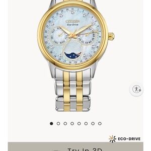 Citizen Eco-Drive Two-Tone Watch